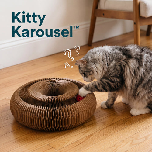 Kitty Karousel
