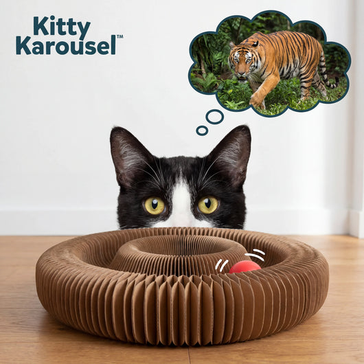 Kitty Karousel