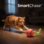 SmartChase