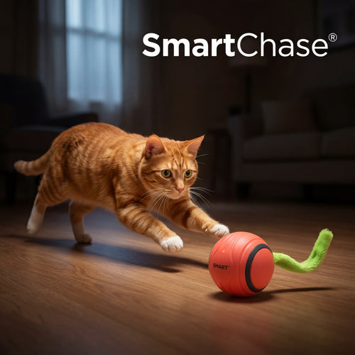SmartChase